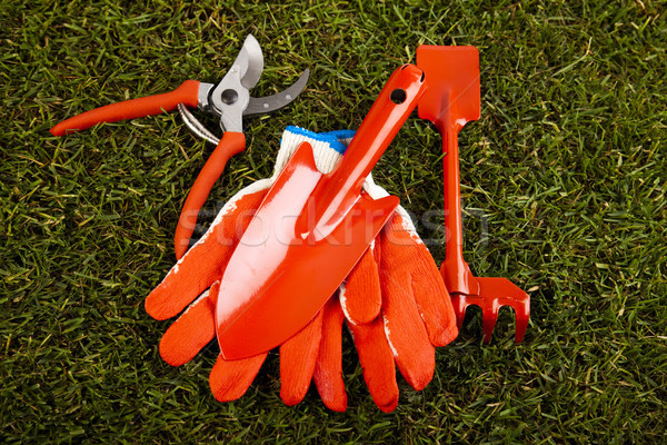 Set of garden tools, vivid bright springtime concept Stock photo © JanPietruszka