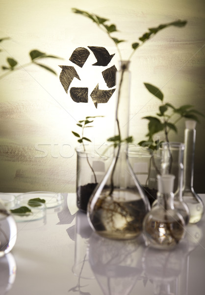 Experimenting with flora in laboratory  Stock photo © JanPietruszka