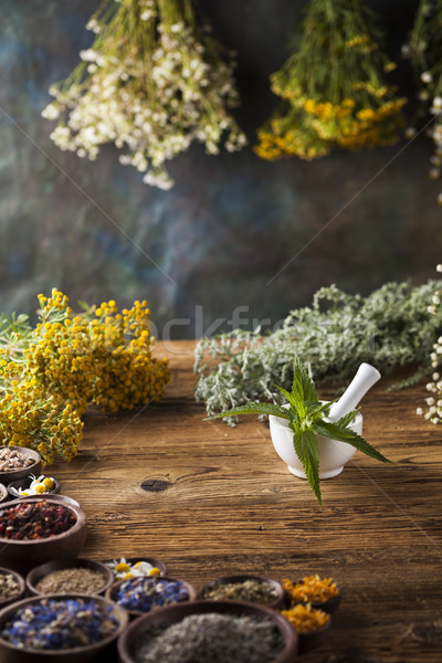 Fresh medicinal, healing herbs on wooden  Stock photo © JanPietruszka