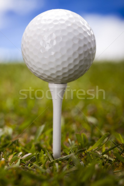 Golfball grünen Wiese Sonnenuntergang Rasen Lifestyle Stock foto © JanPietruszka