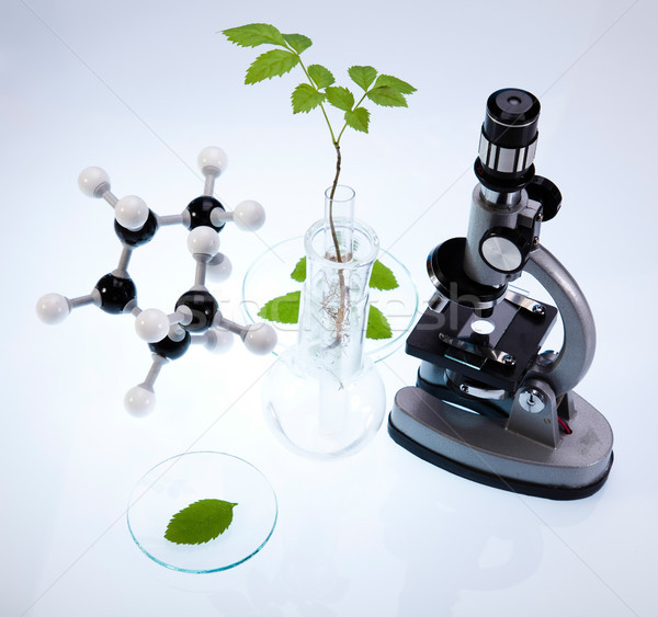 Chemistry equipment, plants laboratory experimental Stock photo © JanPietruszka