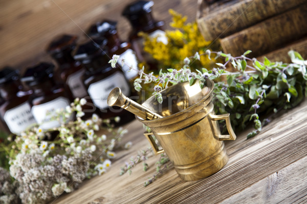 Natural medicine, herbs, mortar, natural colorful tone Stock photo © JanPietruszka