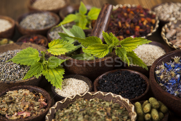 Naturelles médecine table en bois nature beauté [[stock_photo]] © JanPietruszka