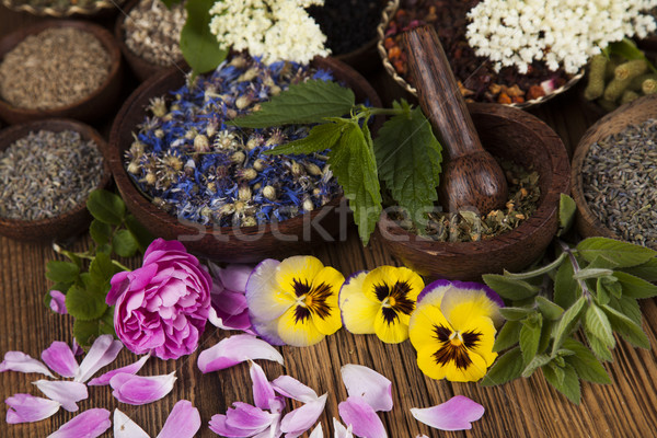 Herbs medicine and vintage wooden background Stock photo © JanPietruszka