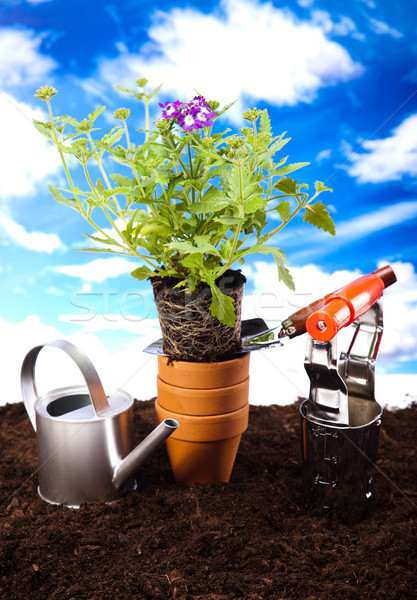 Garden Tools, vivid bright springtime concept Stock photo © JanPietruszka