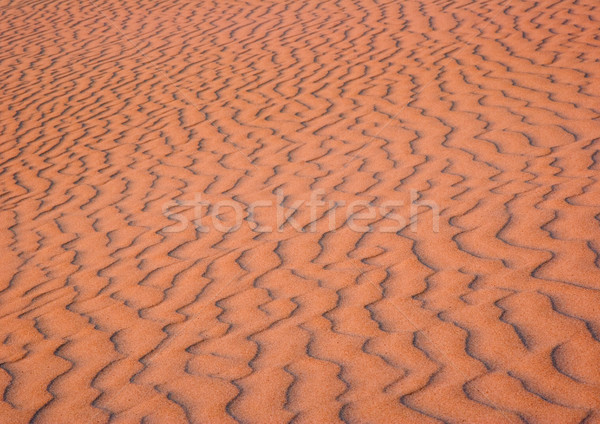 Dunes, pure nature beautiful landscape Stock photo © JanPietruszka