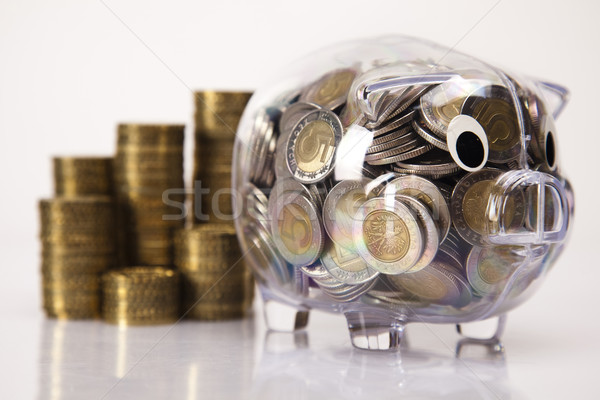 Stock foto: Schwein · Bank · Geld · Münze · Feld · Finanzierung