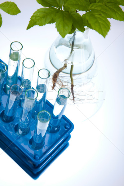 Zdjęcia stock: Laboratorium · bio · organiczny · nowoczesne · medycznych · życia