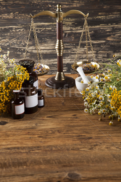 Gyógynövény fából készült asztal friss gyógyászati gyógyító Stock fotó © JanPietruszka