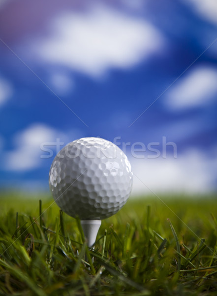 Golf ball on green grass over a blue sky  Stock photo © JanPietruszka