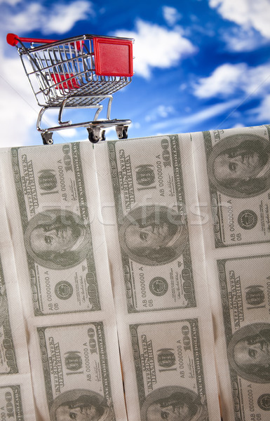 Shopping trolley Stock photo © JanPietruszka