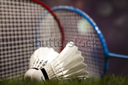 Foto stock: Badminton · esportes · futebol · verão · laranja
