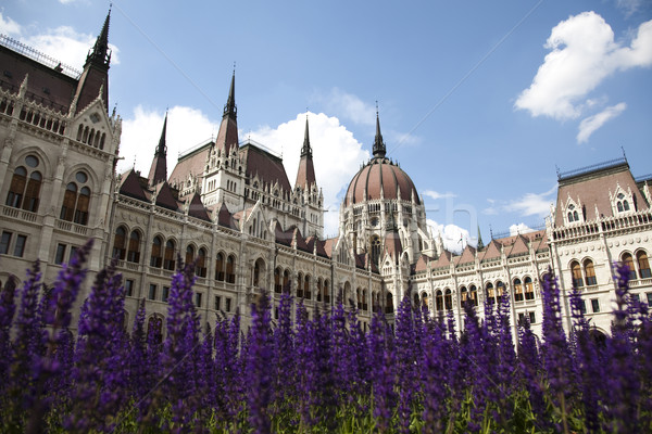 Parliament building in Budapest, natural colorful tone Stock photo © JanPietruszka
