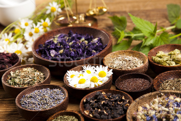 Natural medicine, natural colorful tone Stock photo © JanPietruszka
