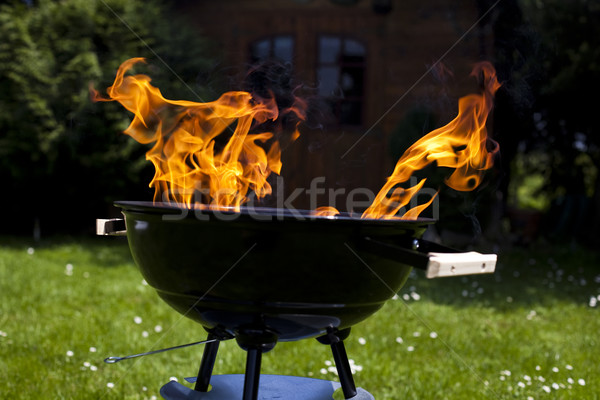 Grill hot lata wieczór grillowanie żywności Zdjęcia stock © JanPietruszka