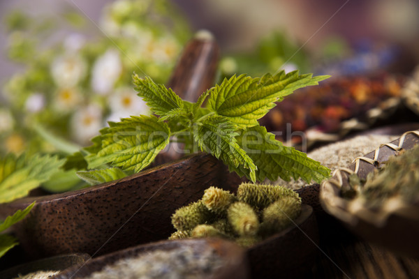 Alternative medicine, dried herbs background Stock photo © JanPietruszka