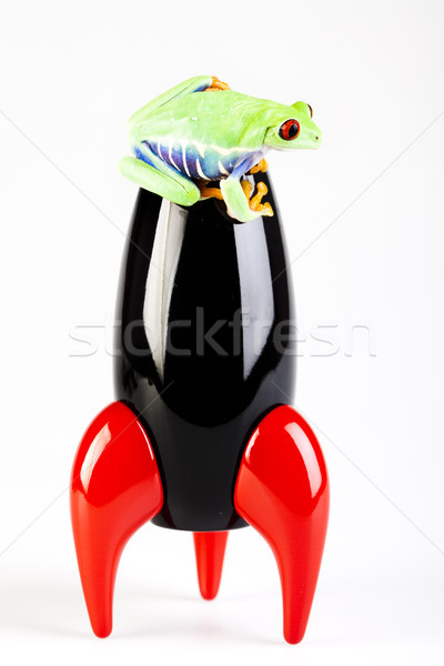 Red eyed tree frog, funny bright tone concept Stock photo © JanPietruszka