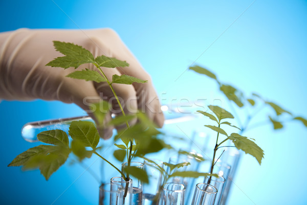 Experimenting with flora in laboratory  Stock photo © JanPietruszka
