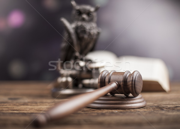 Law concept, owl in a judge gavel concept  Stock photo © JanPietruszka
