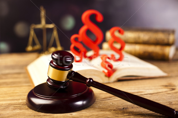 Paragraph, law and justice concept, wooden gavel Stock photo © JanPietruszka