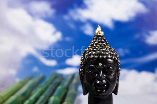 Portrait of a buddha statue Stock photo © JanPietruszka