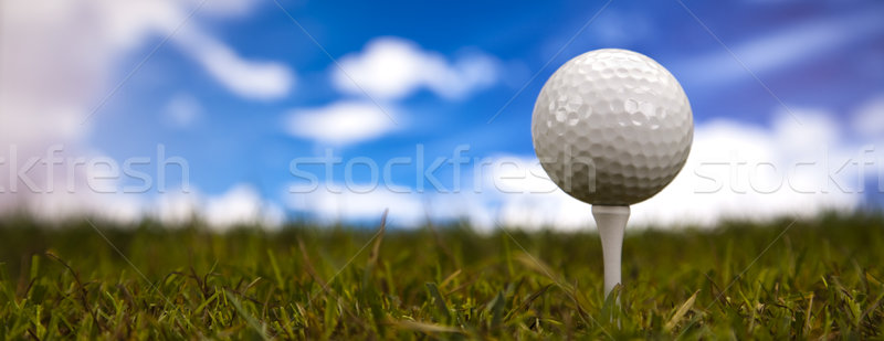 Stock photo: Golf ball on green grass over a blue sky 