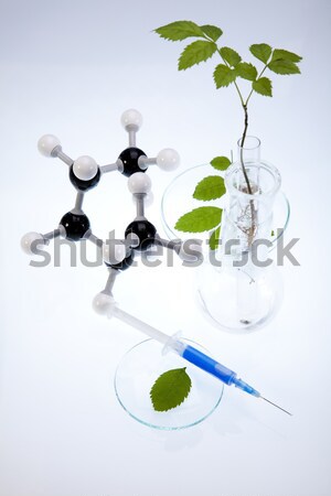 Foto stock: Laboratorio · cristalería · bio · orgánico · moderna · vidrio