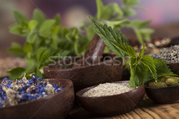 Stock photo: Natural medicine, wooden table background