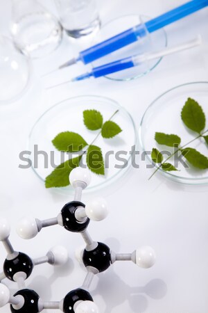 Foto stock: Laboratorio · bio · orgánico · moderna · vidrio · medicina