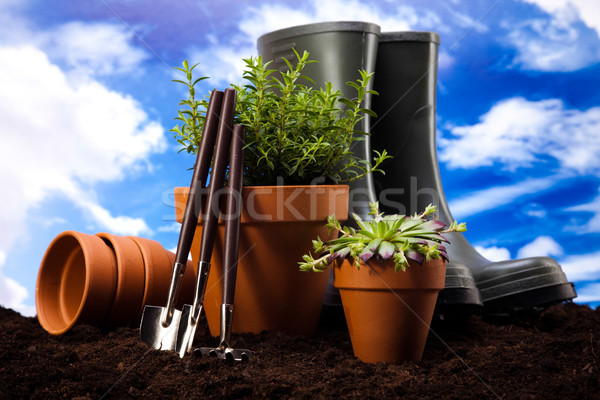 Gartenarbeit Zeit Garten lebendig hellen Frühling Stock foto © JanPietruszka