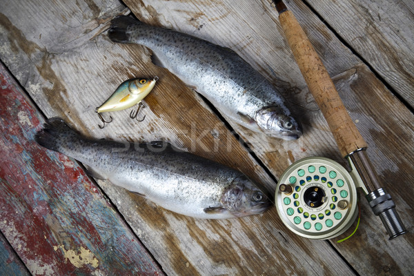 Balık tutma doğal gıda doğa nehir uçmak Stok fotoğraf © JanPietruszka