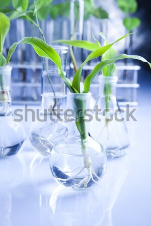 Nauki eksperyment roślin laboratorium szkła muzyka Zdjęcia stock © JanPietruszka