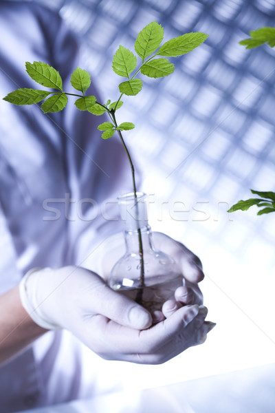 Stockfoto: Laboratorium · glaswerk · uitrusting · experimenteel · plant · medische