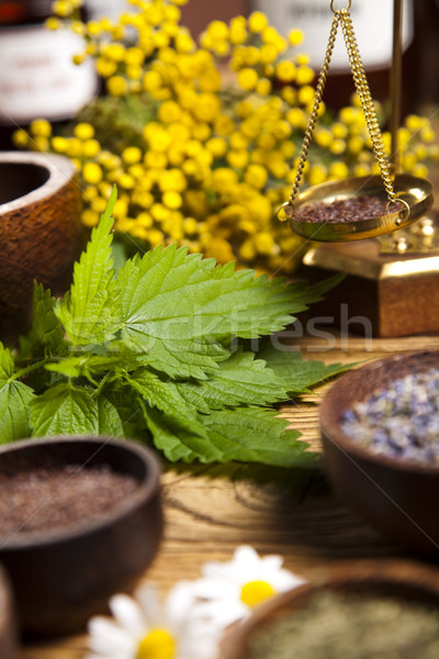 Medicina alternativa secas ervas natureza beleza medicina Foto stock © JanPietruszka