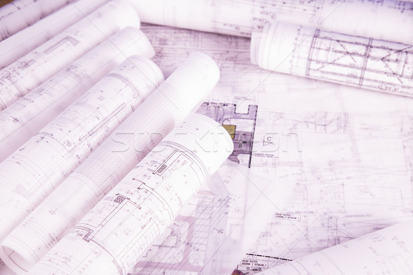 Rolls of architecture blueprints concept Stock photo © JanPietruszka