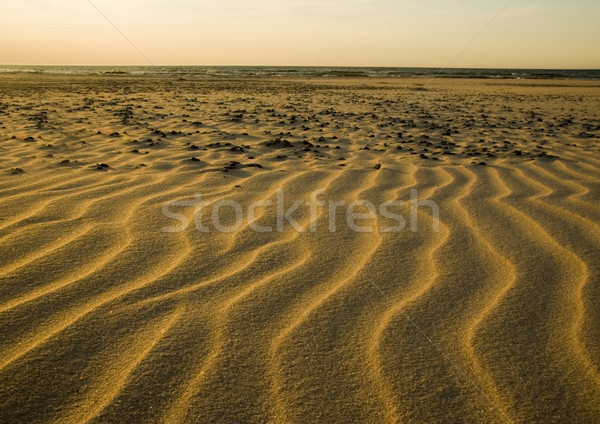Sable pur nature belle paysage texture Photo stock © JanPietruszka