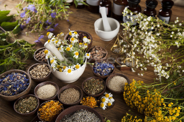 Stok fotoğraf: Alternatif · tıp · kurutulmuş · otlar · ahşap · büro · geri