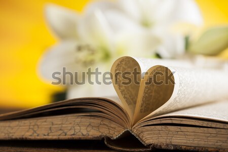 Szeretet vallás kereszténység szentség úrvacsora könyv Stock fotó © JanPietruszka