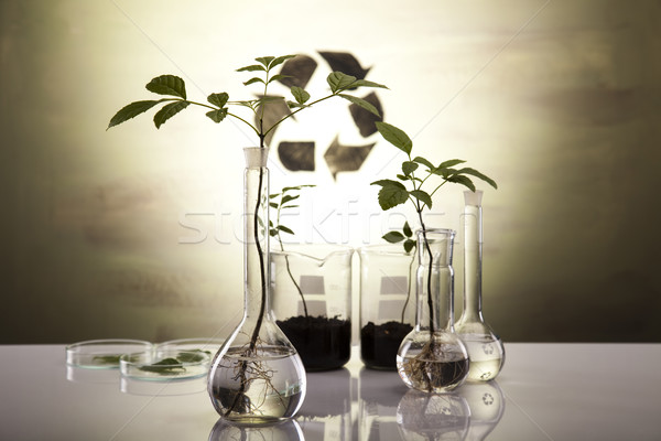 Plants and laboratory  Stock photo © JanPietruszka