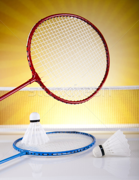 Badminton racket zomer leuk veer bal Stockfoto © JanPietruszka