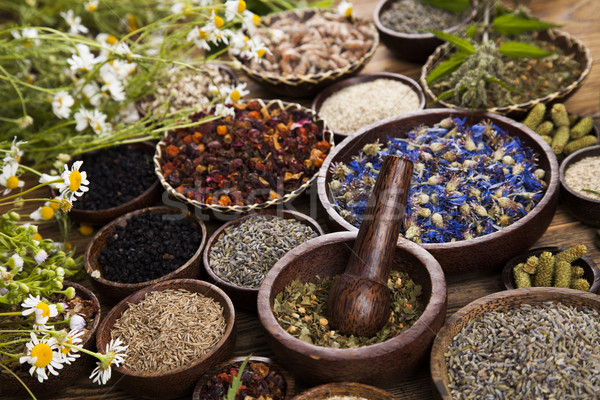 Stock photo: Fresh medicinal herbs on wooden background