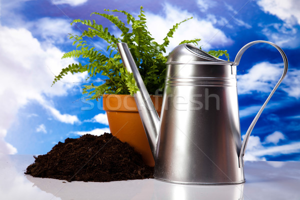 Stock photo: Garden tools concept, vivid bright springtime