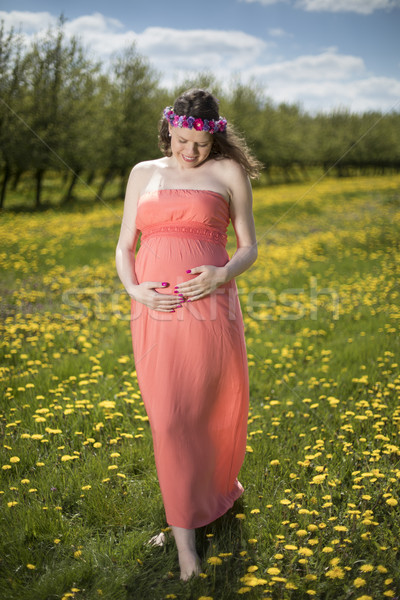 Foto stock: Primavera · jóvenes · hermosa · mujer · embarazada · pradera · puesta · de · sol