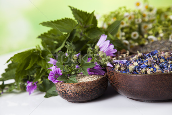 Naturale medicina tavolo in legno natura bellezza Foto d'archivio © JanPietruszka