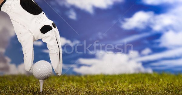 Golf tee  Stock photo © JanPietruszka
