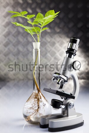 Eco laboratory  Stock photo © JanPietruszka