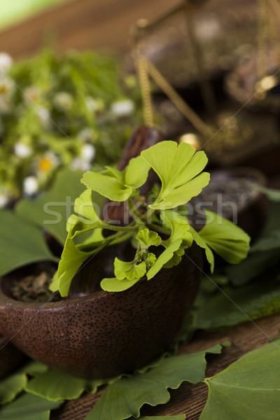 Stockfoto: Boom · natuurlijke · remedie · houten · tafel · natuur · schoonheid