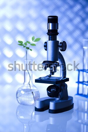 Stockfoto: Biotechnologie · chemische · laboratorium · glaswerk · bio · organisch