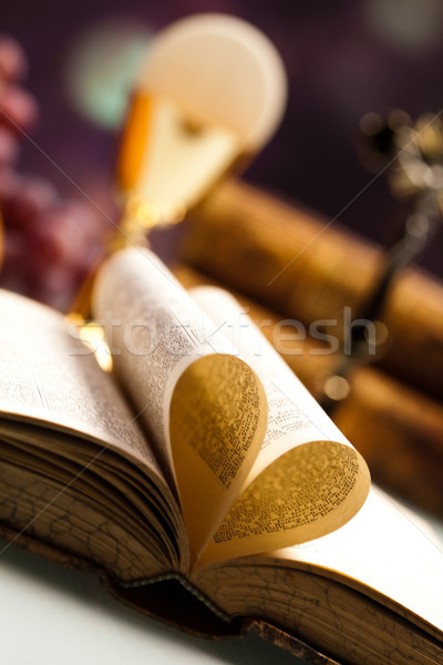 Symbool christendom godsdienst heldere boek jesus Stockfoto © JanPietruszka
