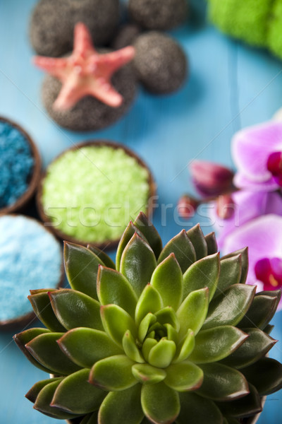 Stockfoto: Zout · spa · vers · organisch · badkamer